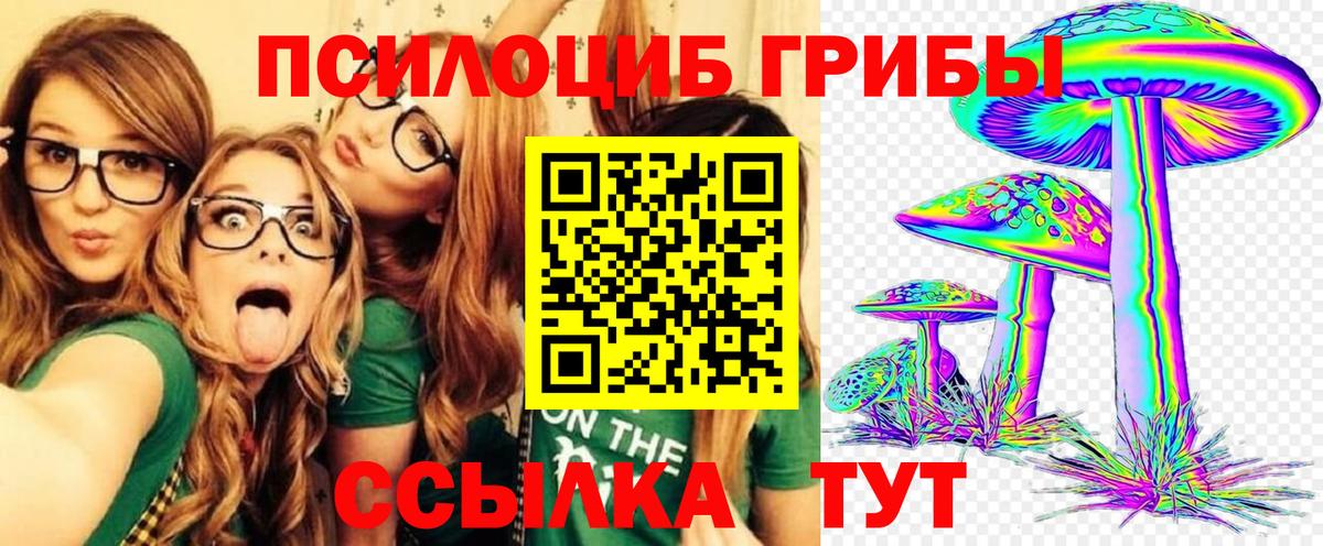 Галлюциногенные грибы Psilocybe Чернушка