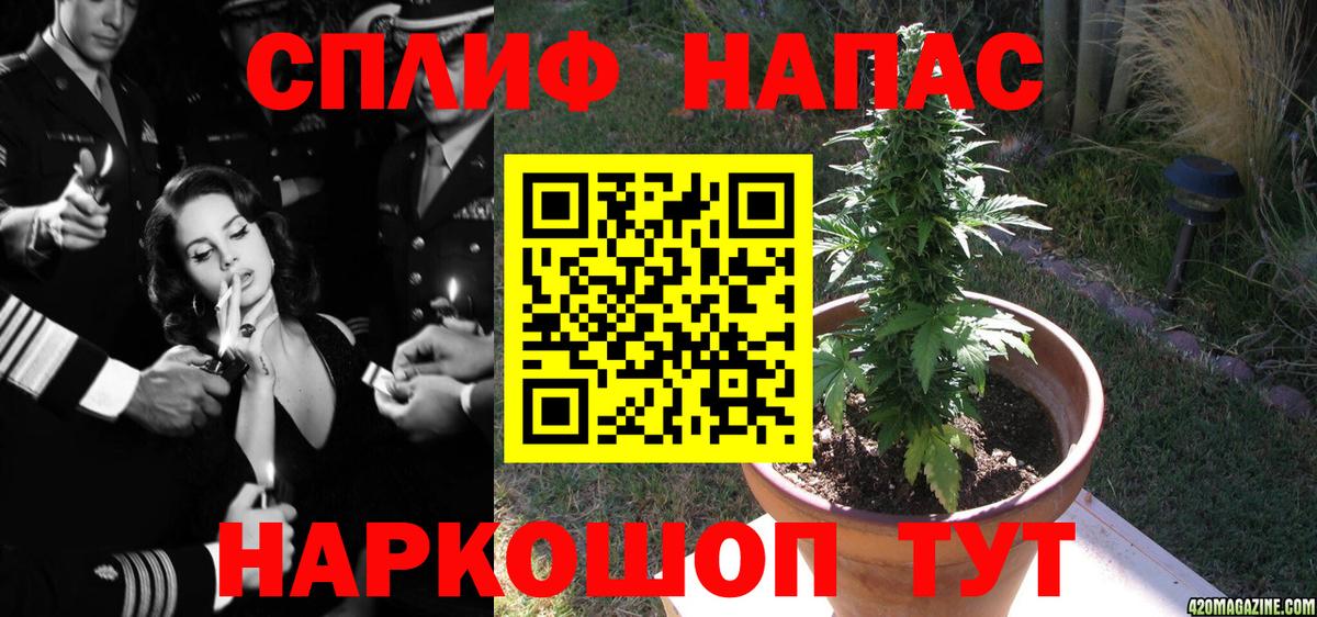 Марихуана индика  Вход с VPN  Чернушка  Шишки марихуана OG Kush  Марихуана марихуана 